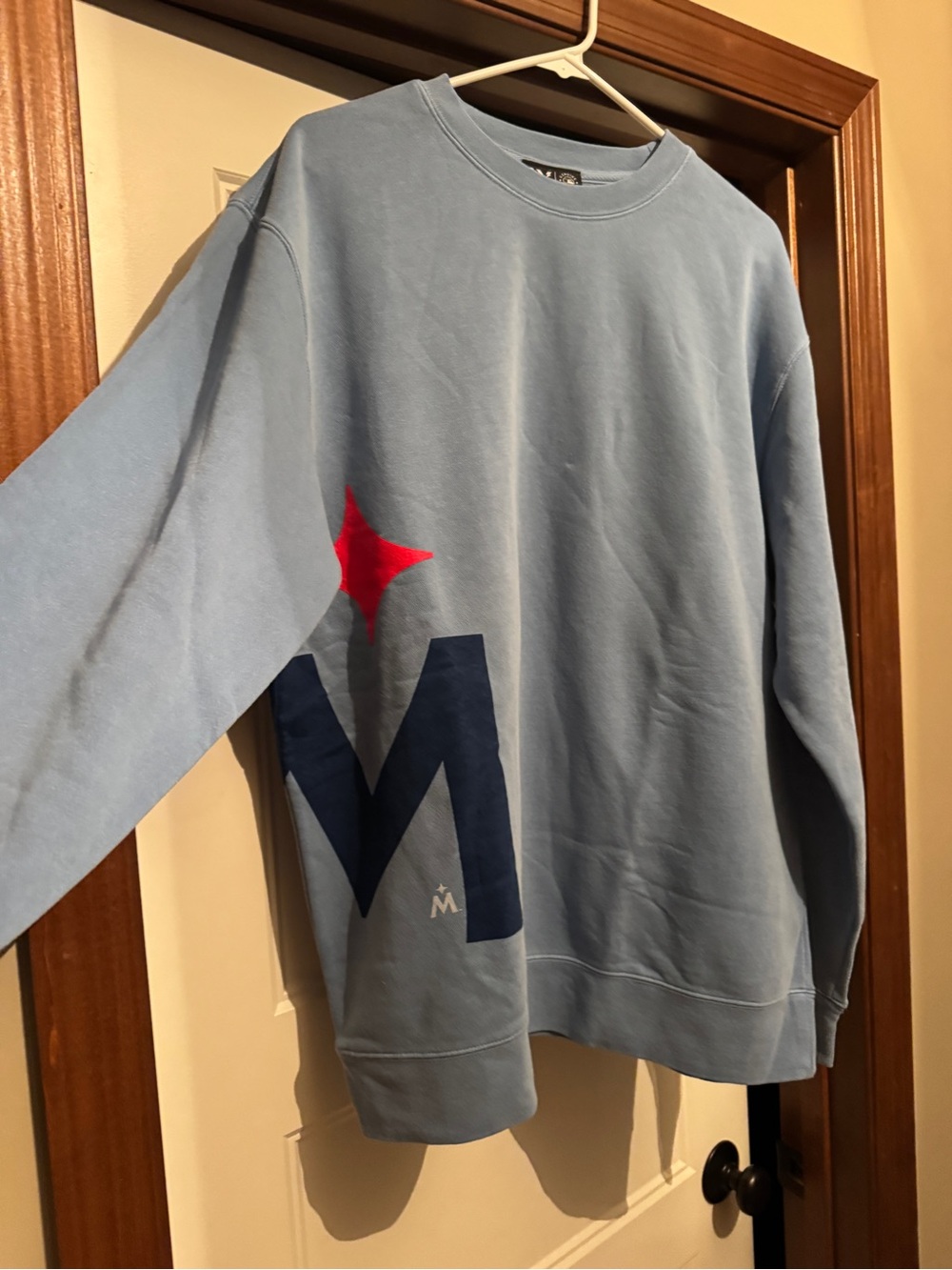 MN Twins MLB Men's Light Blue Graphic Crewneck Sweatshirt